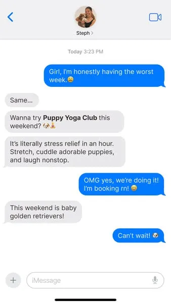 Фейк переписка